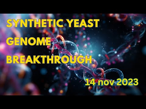 🧬 Major Breakthrough: Scientists Craft Half-Synthetic Yeast Genome 20231114