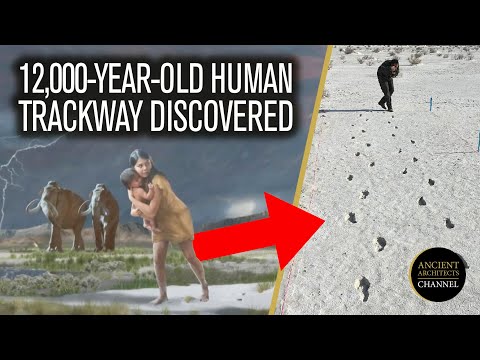 12,000-Year-Old Ancient Human Trackway Discovered in North America | Ancient Architects