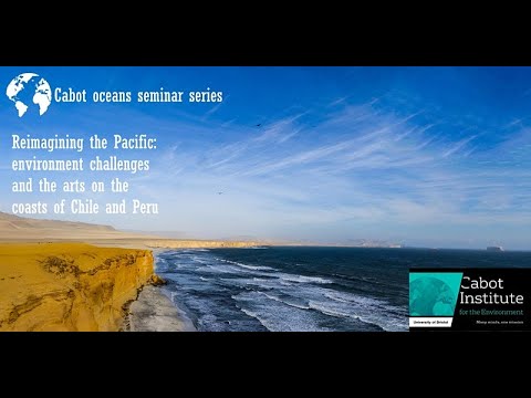 Reimagining the Pacific: environmental challenges and the arts of the coasts of Chile and Peru