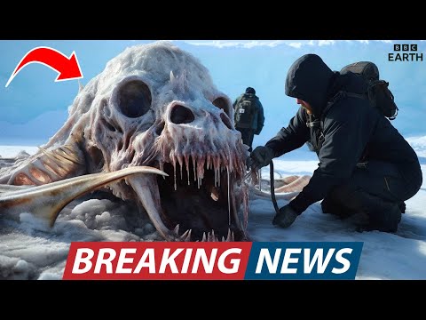 BBC Earth JUST Released Shocking Footage of an Antarctic Creature Scientists Never Thought Exist!