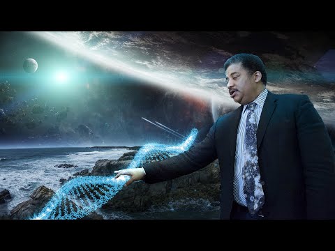 How Did Life Begin? Neil deGrasse Tyson on Life on Earth &amp; Beyond