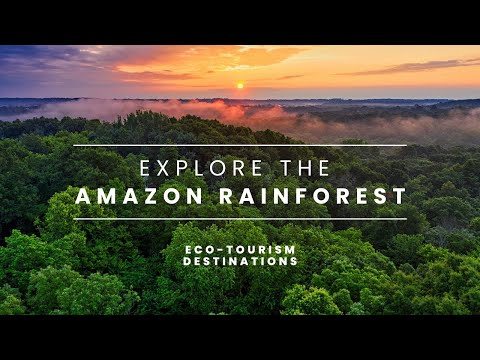 Exploring the Amazon Rainforest: A Treasure Trove of Biodiversity and Natural Wonders