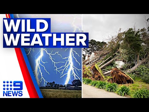 Destructive storms wreak havoc across Victoria | 9 News Australia