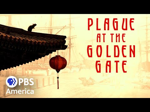 Plague at the Golden Gate (2022) | Full Documentary | American Experience